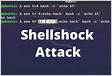 Exploiting a Shellshock Vulnerability